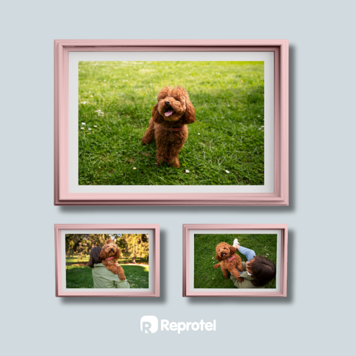 Impresion de fotos