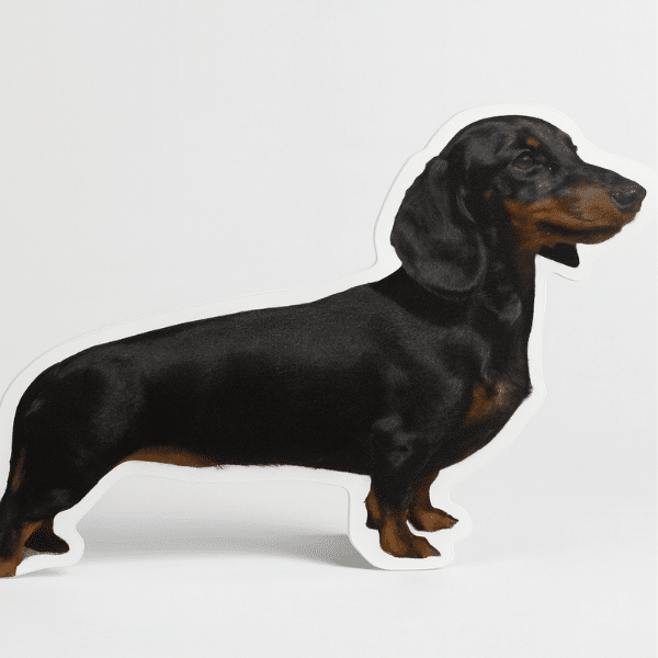 cartel-pvc-forma-personalizada