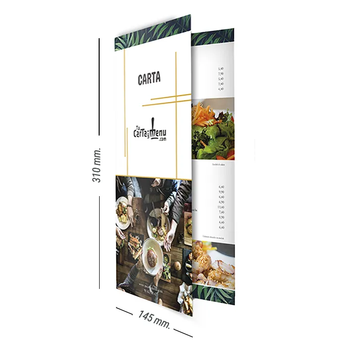 Tamaño 145 x 310 mm